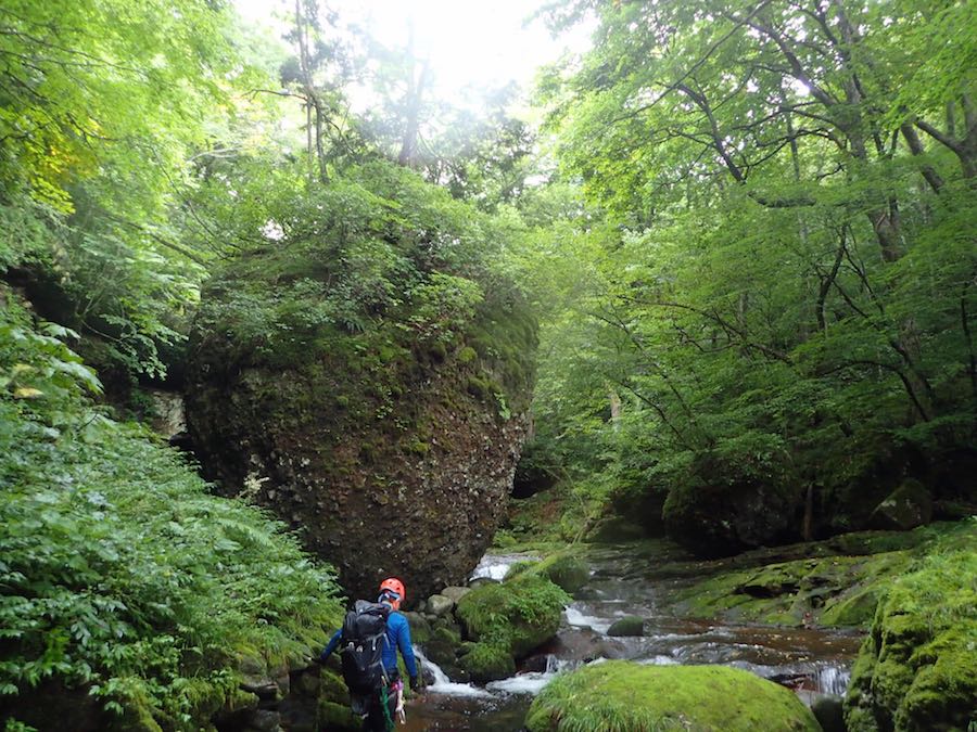 巨岩ゴーロ歩き始まる